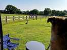 Watching the horses behind us.