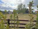 Field view
