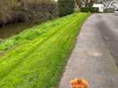 Very well kept, lovely walk along the riverside