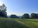 Spacious field