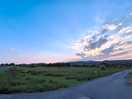 Evening stroll on castlemorton common