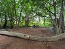 Site
