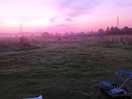 Dawn