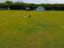 Huge field