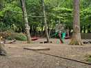 Woids and play area