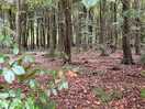 Dalby forest, 15 mins drive