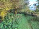 Walk around the site