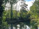 River running through back of campsite