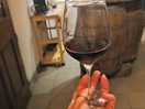 Wein