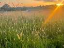 Beautiful sunset