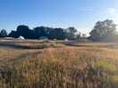 Campsite