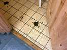 Floor in shower