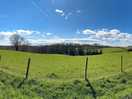 Nice view 2