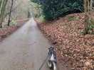 Lovely walks nearby