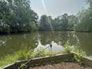 Billingford fisheries , 12 lakes to choose from. 4 of them pre booked only. course and carp lakes.