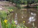 The fishing pond on site