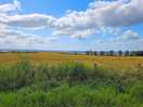 Beatiful scenery for the budding photographer