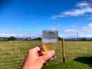 Cider