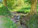 The stream