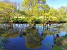 A lovely place to reflect :-)