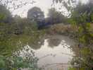 Another lake
