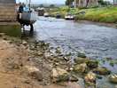 River running to the sea