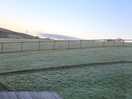 Winter morning