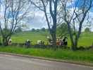 Beautiful countryside