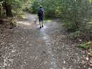Walk