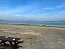 Estuary view
