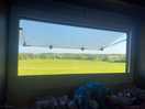 Back field