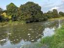 The river at high tide on the marsh