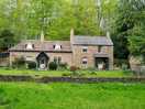 What a find,a house in the woods.