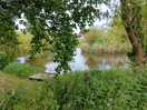 The lovely lake