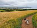 Countryside walks