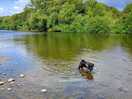 Just messing around in the river