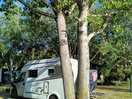 Pitch under the trees
