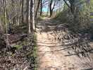 Woods near dodworth