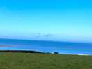 Morning run view
