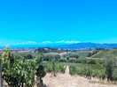 Aussicht vom platz