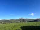 A lovely view to arrive to
