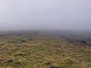 Views on the walks