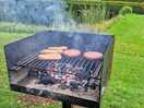 Barbecue and fire put