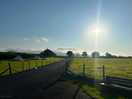 Good morning sun