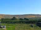 Black mountains