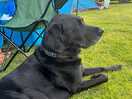 Jack outside our tent