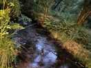 The stream