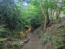 Very middle earth!