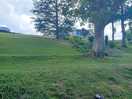 Campsite