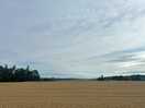 Vast fields